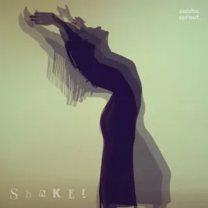 Shake