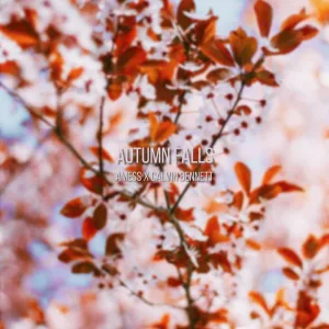 Autumn Falls