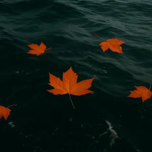 SUMMER ENDED