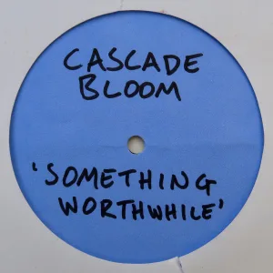 Something Worthwhile