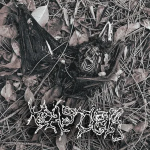 To See Is to Rot