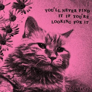 Never