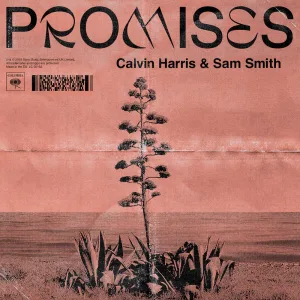 promises