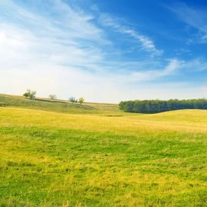 Fields