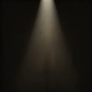 Light