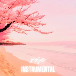 Explanations (Instrumental)