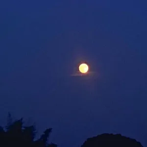 Moonlight