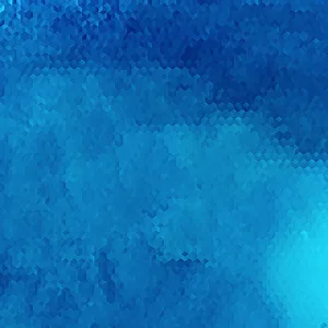 Fluid