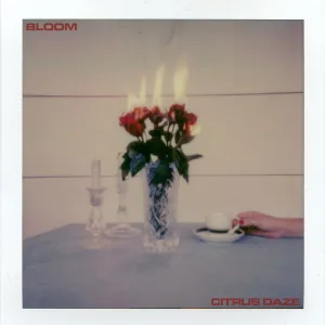 Bloom