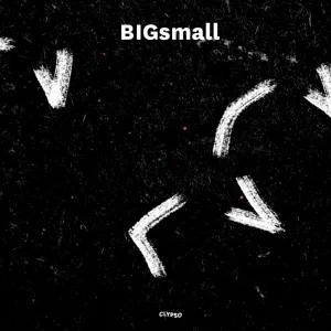 BIGsmall