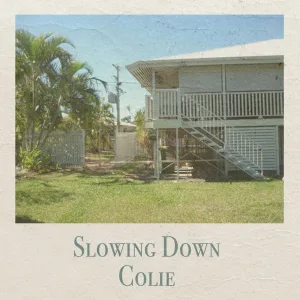 Slowing Down