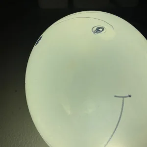 Fan Death