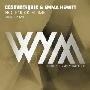Not Enough Time (Taglo Remix)