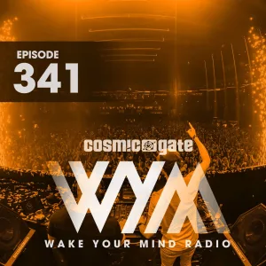 Unity (WYM341)