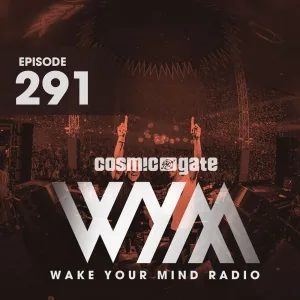 Voltage Control (WYM291)