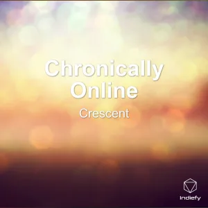Chronically Online