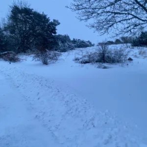 December