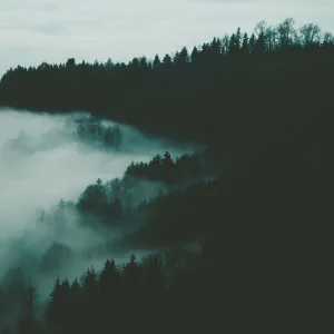 The Sound