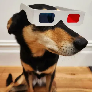 Third Dimension