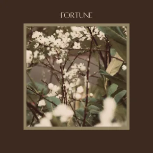 Fortune