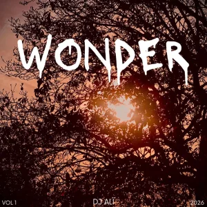 Wonder