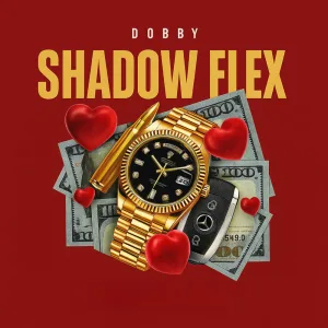 Shadow Flex