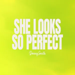 She Looks So Perfect