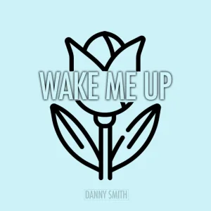 Wake Me Up