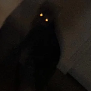 fjj
