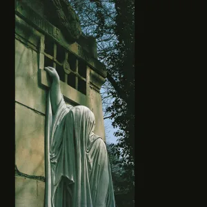 Xavier