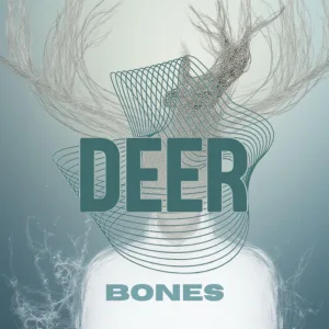 Bones
