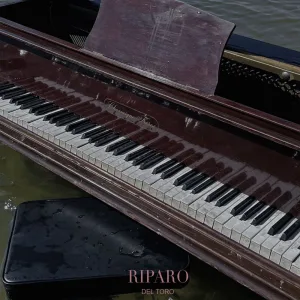 Riparo
