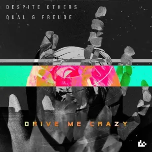 Drive Me Crazy