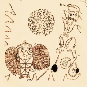 Insect Eyes