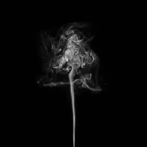 Solitude