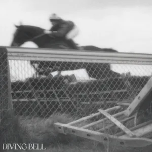 Chasing The Rabbit