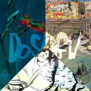Nd1