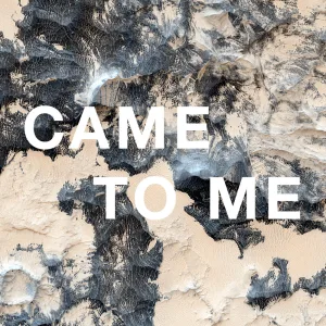 Came To Me
