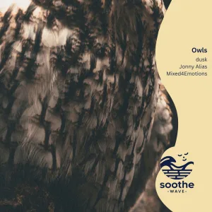 Owls