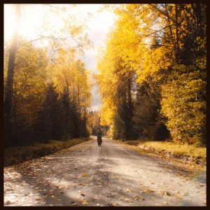 Worst Is Over (Stripped)