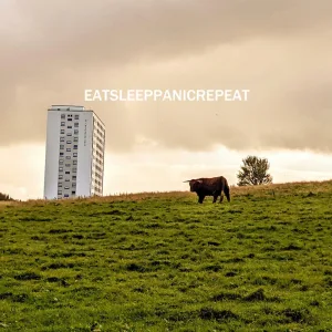 EatSleepPanicRepeat