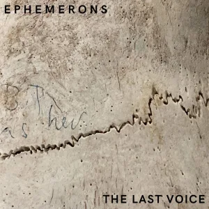 The Last Voice