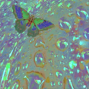 Inner Space