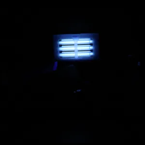 Isolate