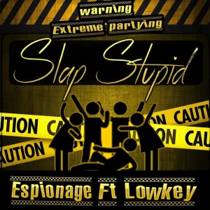 Slap Stupid