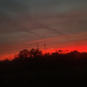 By The Night