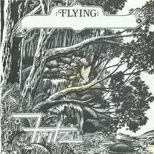 Flying