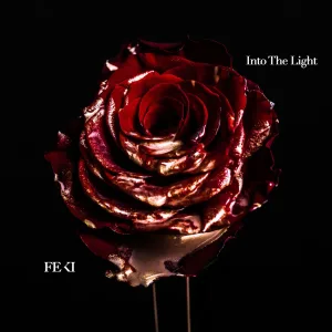 Into The Light