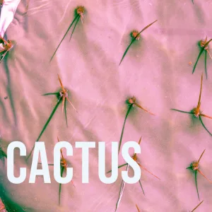 cactus