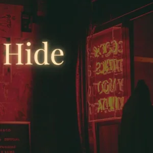 Hide